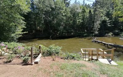 DAVES LANDING