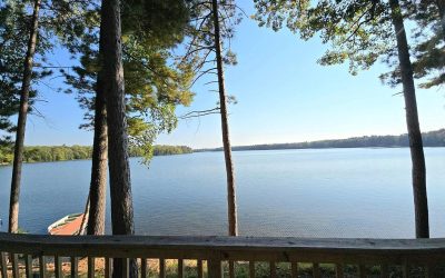 PINE HAVEN #2